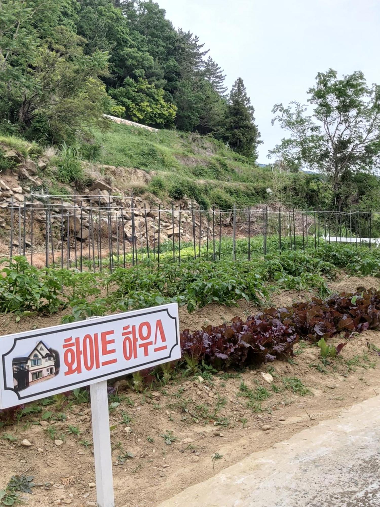 White House Ξενοδοχείο Namhae Εξωτερικό φωτογραφία